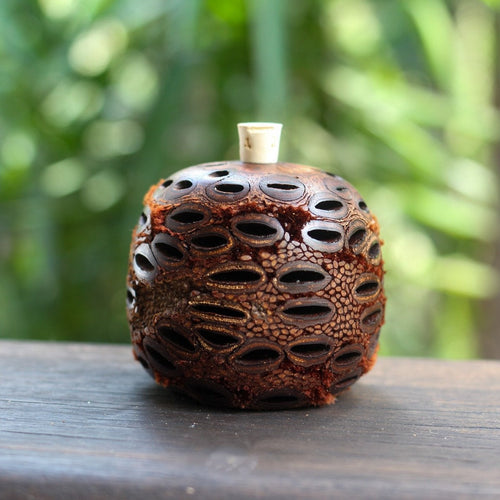 Banksia Seed Diffuser Pod for Essential Oils