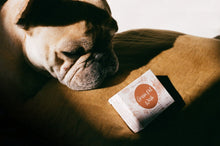 Aussie Pet Wash Bar - 150g