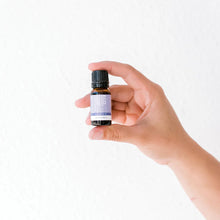 Australian Lavender Pure Essential Oil