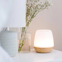 Bliss Diffuser for Essential Oils