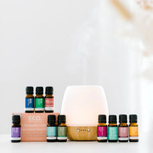 Bliss Diffuser & ECO. Favourites Essential Oil Collection