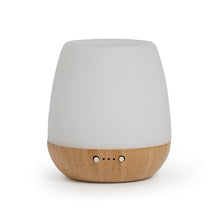Bliss Diffuser & Rest & Glow Essential Oil Trio
