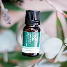 Australian Eucalyptus (Blue Mallee) Pure Essential Oil