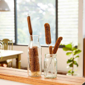 Bottle Brush Medium