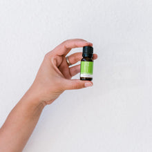 Lime Pure Essential Oil