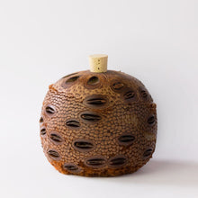 Banksia Seed Diffuser Pod for Essential Oils