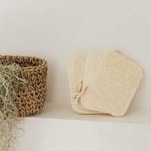 Compostable Loofah Sponge - 4 Pack