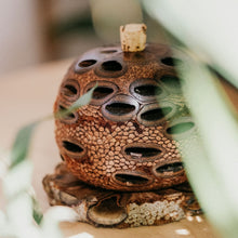 Banksia Seed Diffuser Pod for Essential Oils