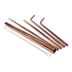 Rose Gold Stainless Steel Straw Set