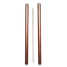 Stainless Steel Smoothie Straw - 2 Pack
