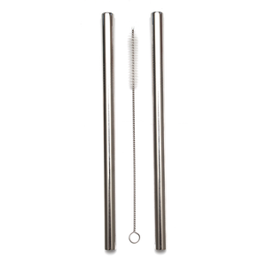 Stainless Steel Smoothie Straw - 2 Pack