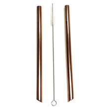 Stainless Steel Bubble Tea Straw Kit