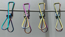 Rainbow Stainless Steel Infinity Clothes Pegs 100 Pack
