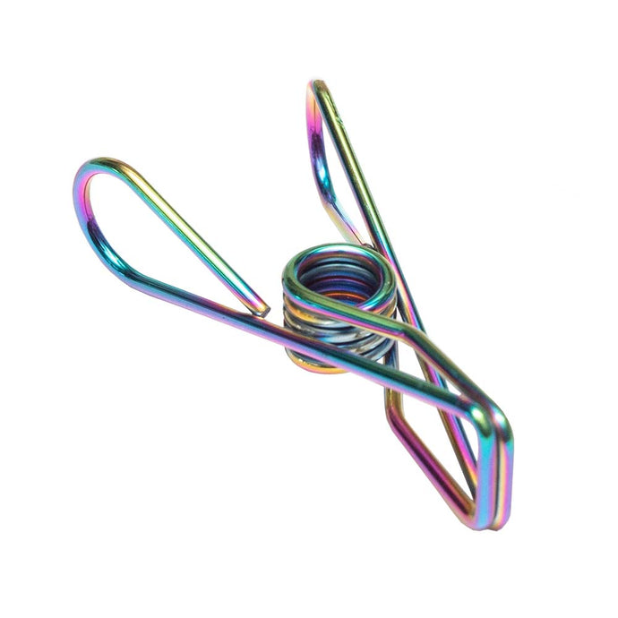 Rainbow Stainless Steel Infinity Clothes Pegs 100 Pack